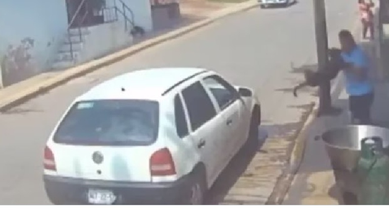 INDIGNACIÓN Y REPUDIO ANTE CRUEL ACTO DE MALTRATO ANIMAL EN&nbsp;TECÁMAC