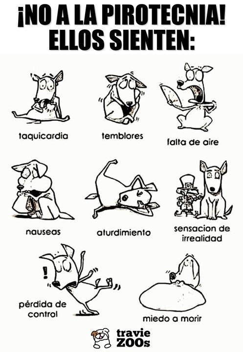 LA AMENAZA DE LA PIROTECNIA EN EL BIENESTAR DE LOS&nbsp;PERROS