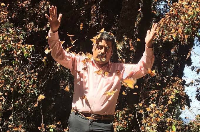 EL LEGADO DE HOMERO GÓMEZ: EL GUARDIÁN DE LAS&nbsp;MONARCAS