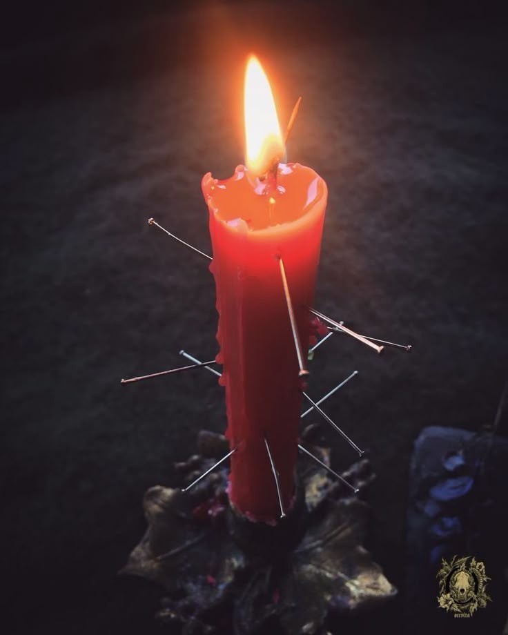 EL VERDADERO AMOR NO SE&nbsp;AMARRA