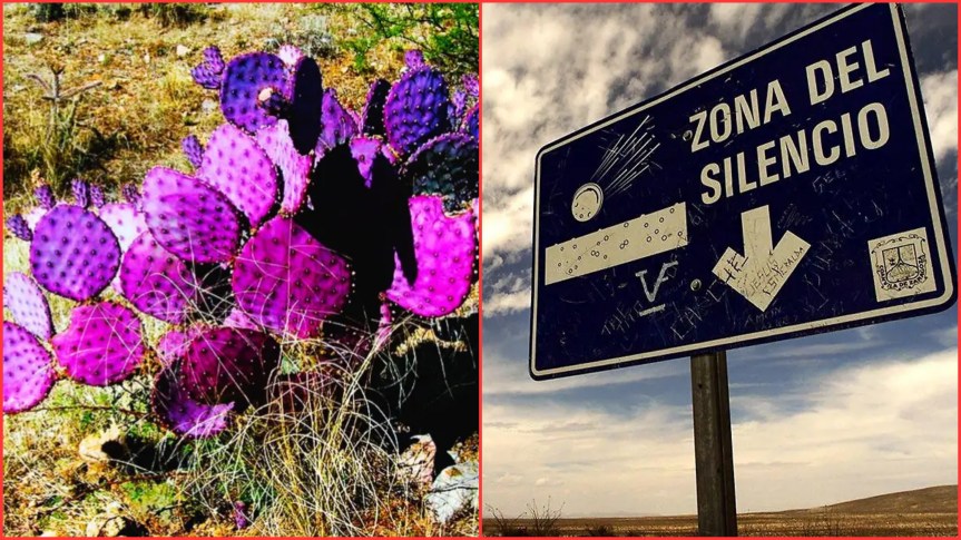 EL ENIGMA DEL “TRIÁNGULO DE LAS BERMUDAS&nbsp;MEXICANO”