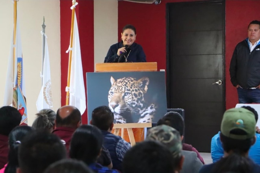 HIDALGO INICIA LA CONSTRUCCIÓN DEL PROGRAMA ESTATAL DE ACCIÓN PARA LA CONSERVACIÓN DEL JAGUAR Y SU&nbsp;ECOSISTEMA