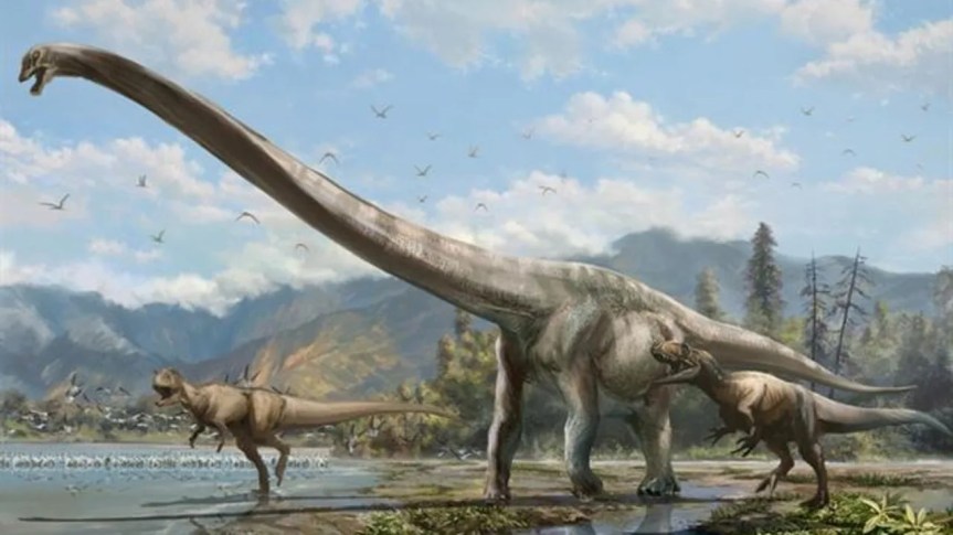 CHINA SORPRENDE AL MUNDO CON UN COLOSAL DINOSAURIO DE 28 METROS DEL JURÁSICO&nbsp;TARDÍO