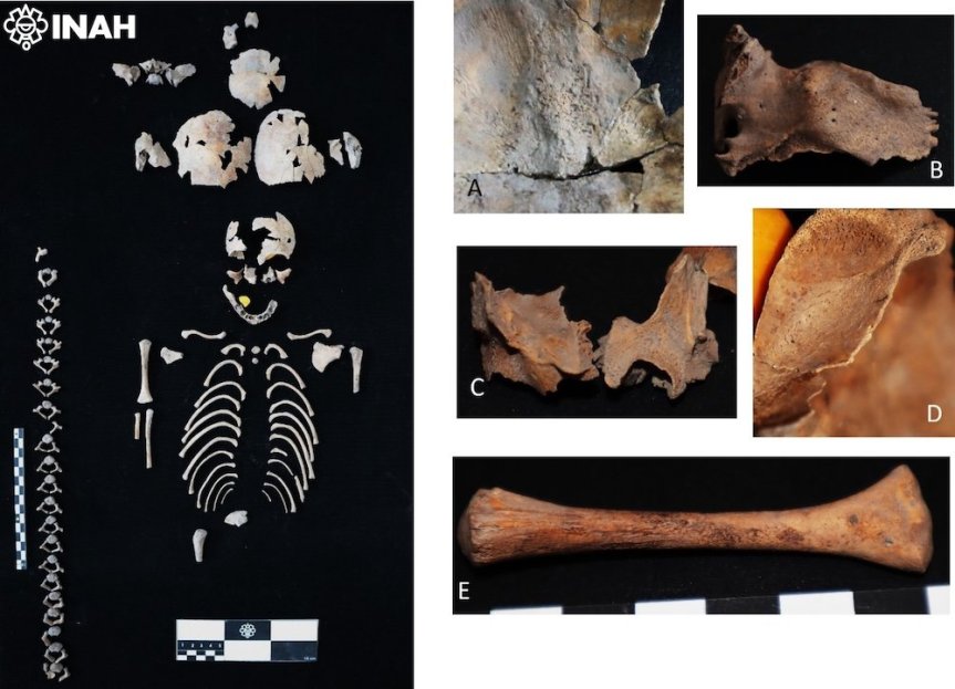 HALLAN POSIBLE ENTIERRO DE UNA “CIHUAPIPILTIN” EN TLATELOLCO; INVESTIGAN OFRENDA FUNERARIA&nbsp;MEXICA