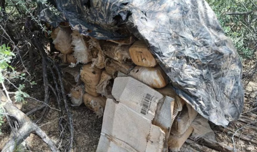 ASEGURAN MÁS DE 200 KILOS DE MARIHUANA EN OPERATIVOS FEDERALES EN SONORA Y&nbsp;GUERRERO