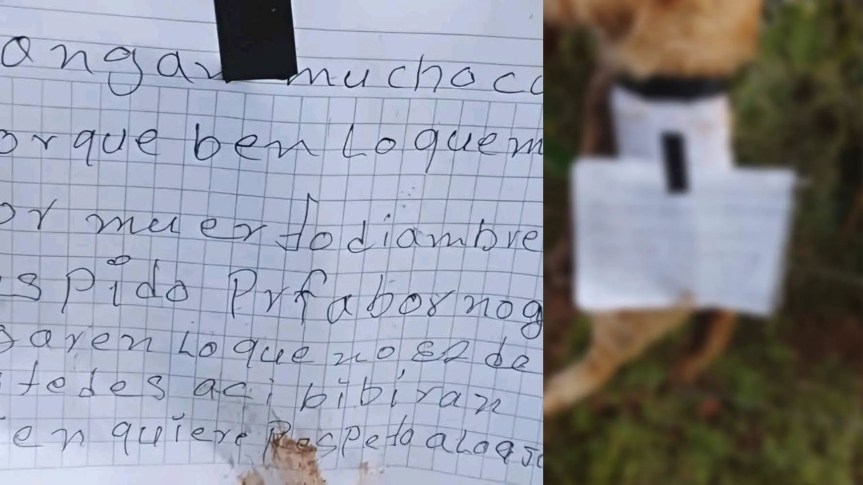 HALLAN GATO SIN VIDA CON MENSAJE EN&nbsp;LOLOTLA