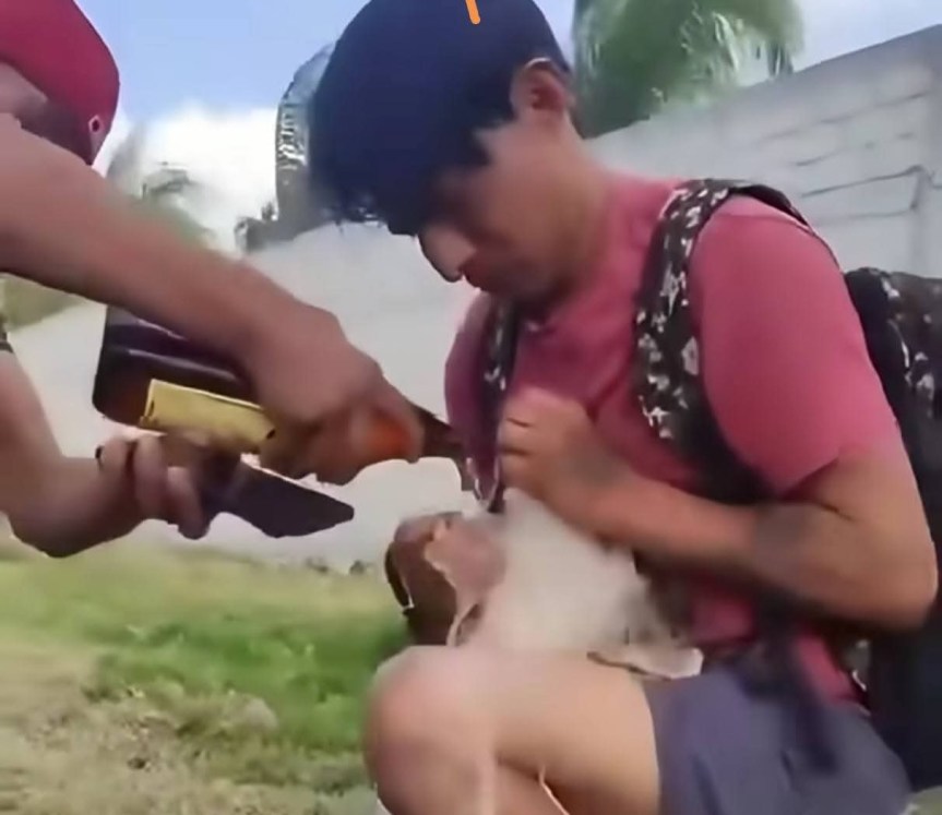 MALTRATO ANIMAL EN ATOTONILCO EL GRANDE GENERA INDIGNACIÓN Y EXIGEN ACCIÓN DE&nbsp;AUTORIDADES