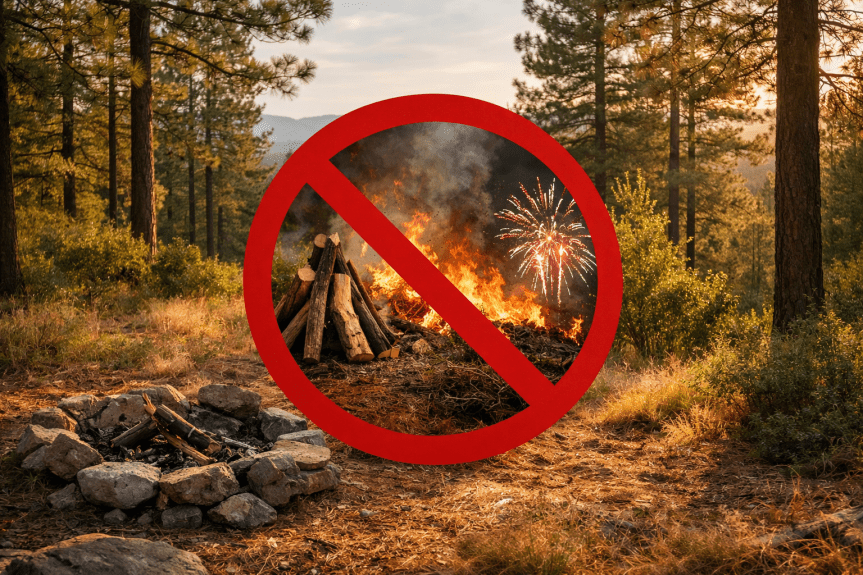 HIDALGO PROHÍBE FOGATAS Y QUEMAS EN ZONAS FORESTALES HASTA&nbsp;JUNIO