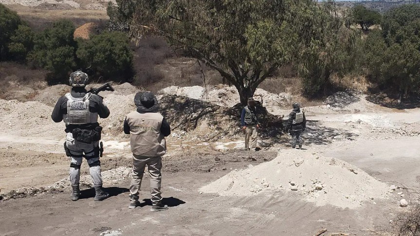 PROFEPA CLAUSURA PREDIO EN RESERVA DE HIDALGO POR REMOCIÓN ILEGAL DE&nbsp;VEGETACIÓN