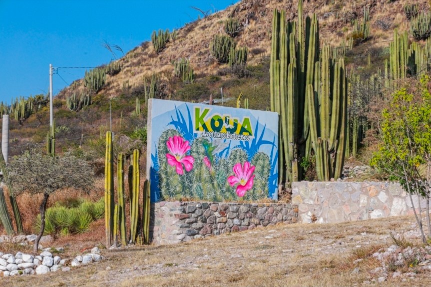 KOUA SE CONSOLIDA COMO OPCIÓN DE TURISMO DE AVENTURA EN&nbsp;HIDALGO