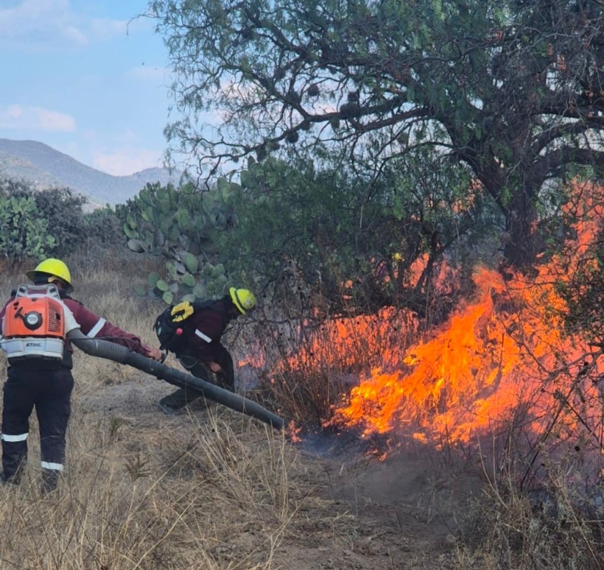 INCENDIOS EN HIDALGO: MÁS DEL 60% SON PROVOCADOS POR ACTIVIDAD&nbsp;HUMANA